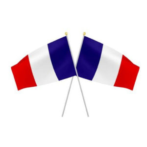 Drapeau France 21x14 cm