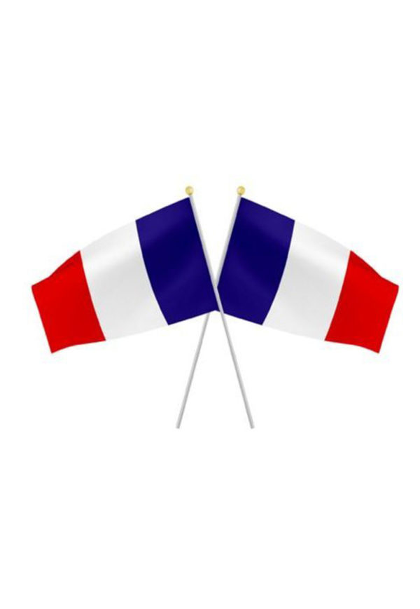 Drapeau France 21x14 cm